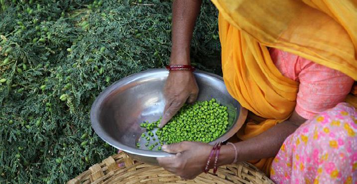 © R. Le Bastard, INRAE